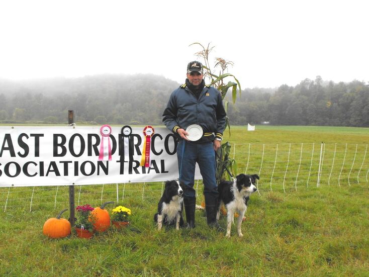 Two Black Border Collies in a green field with awards and pumpkins.
